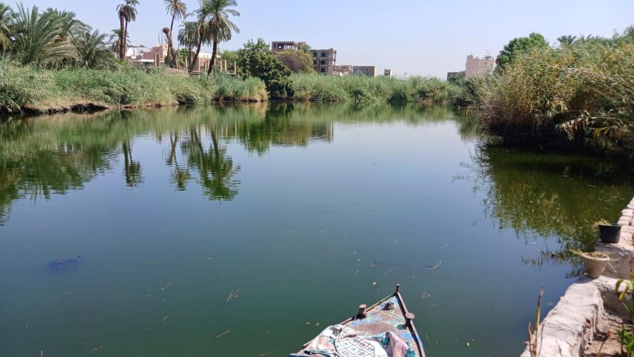 Luxor Old Nile Hotel Εξωτερικό φωτογραφία